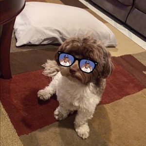 Meet your Posher, Antonio